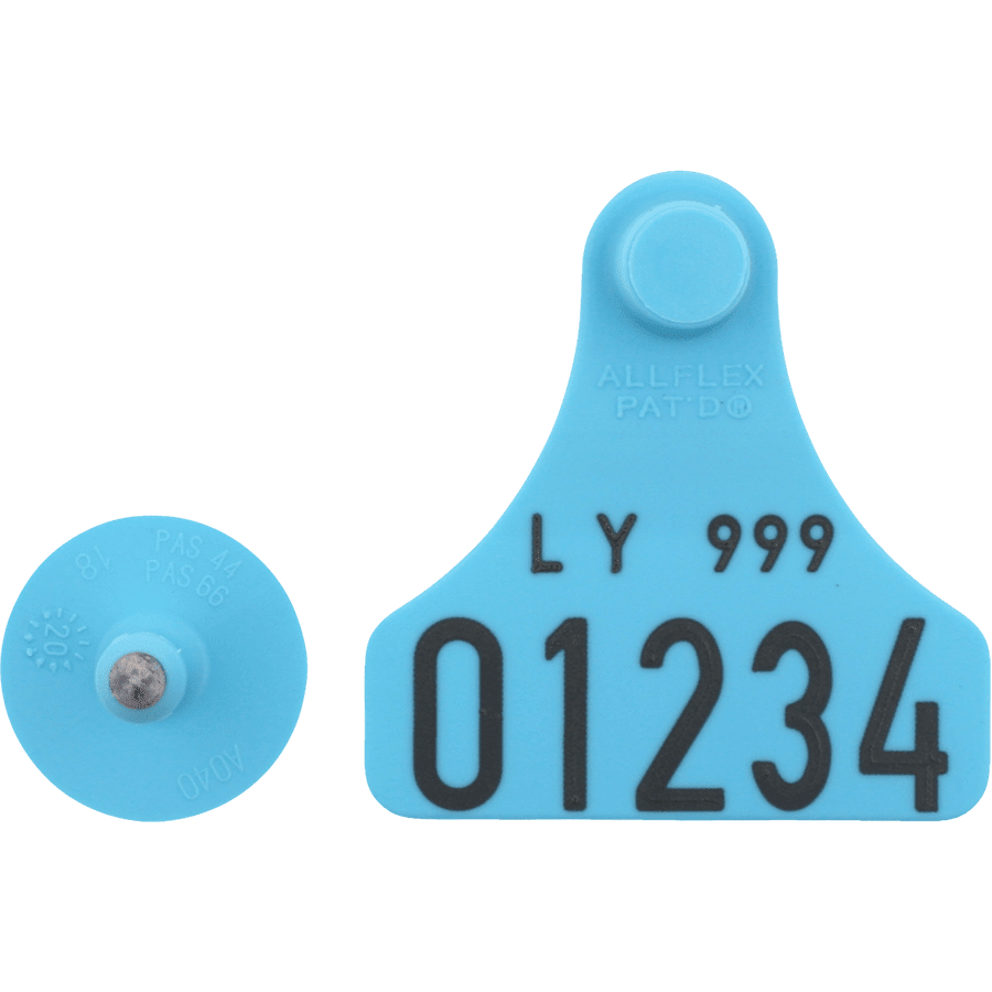 Junior female m.nr. + small male