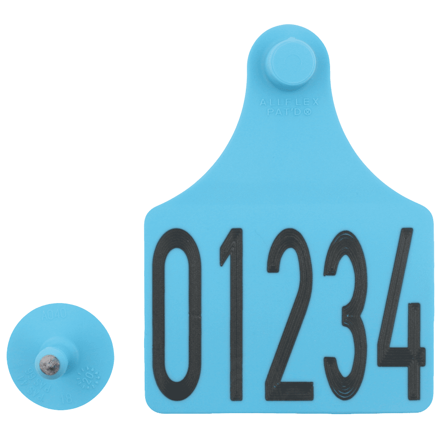 Maxi / Small Tag med nummer