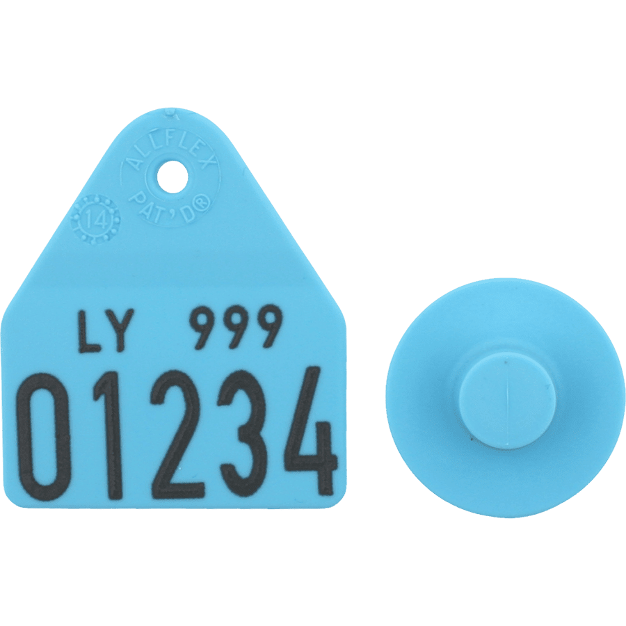 Pentag male m. nr. + small female