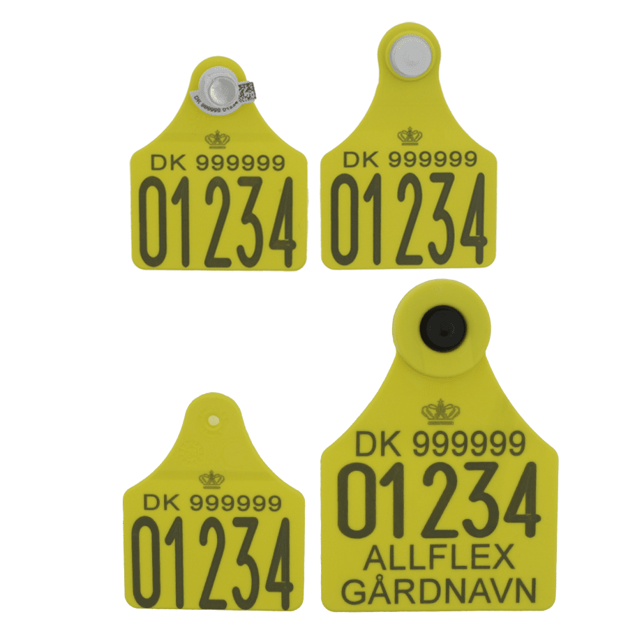 Allflex Maxi DNA m. tekst