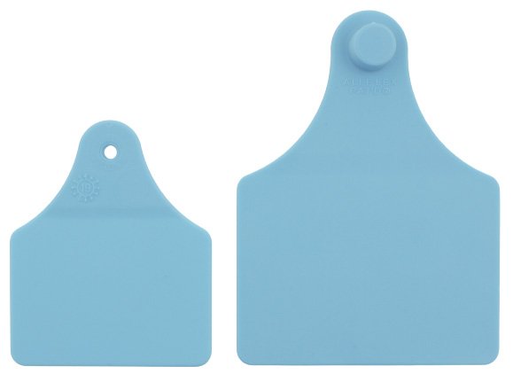 Maxi / Senior blanke