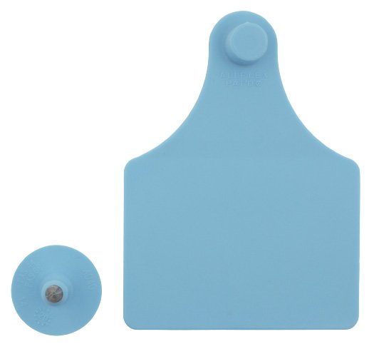 Maxi / Small Tag blanke