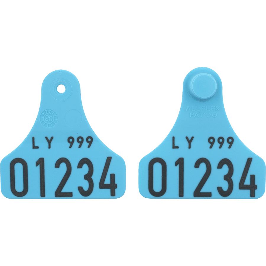 Junior dobbelt med nummer