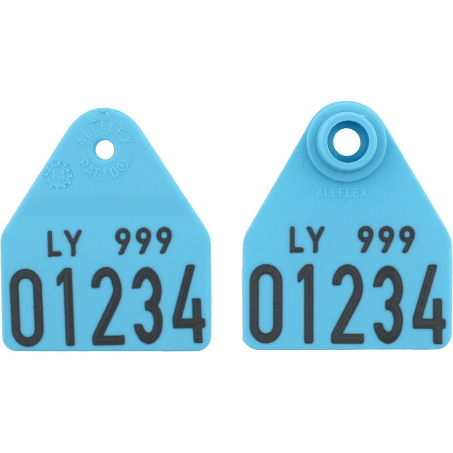 Pentag dobbelt med nummer