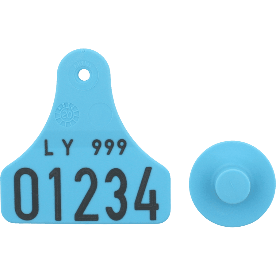 Junior male m. nr. + small female