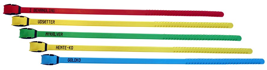 Halsbånd - kort med print