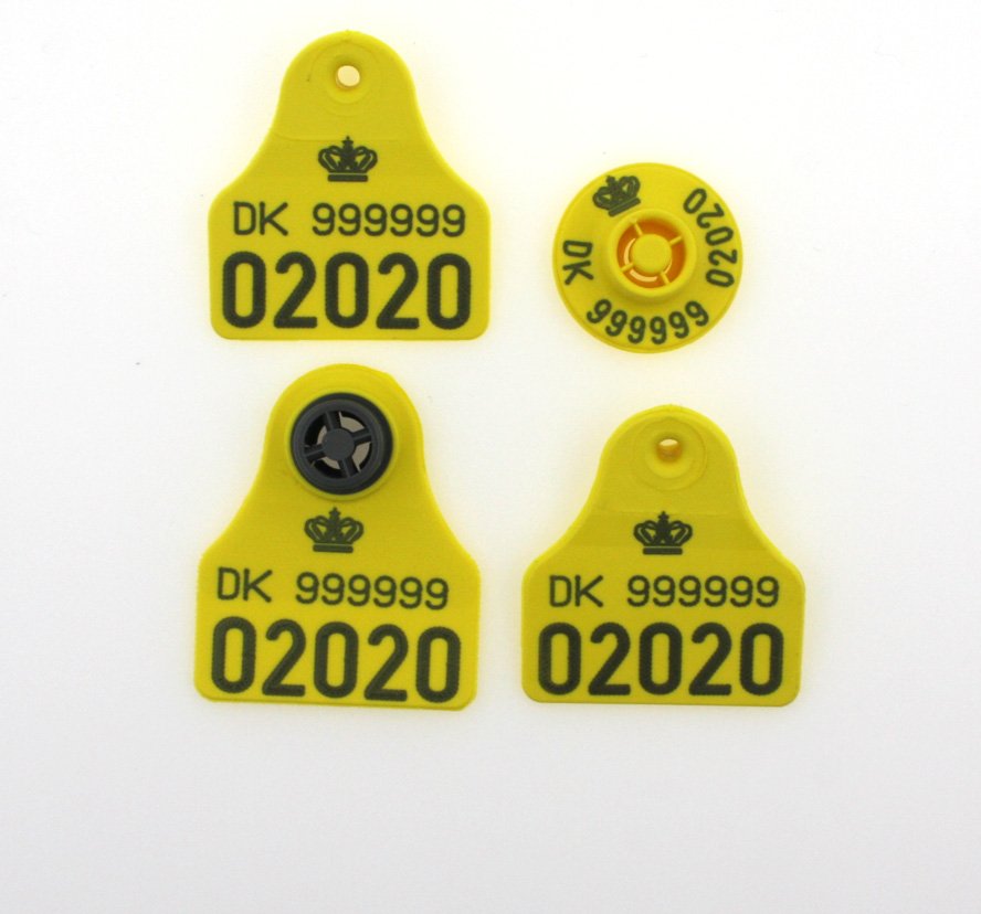 Combi 3000 Mini +  E23 FDX