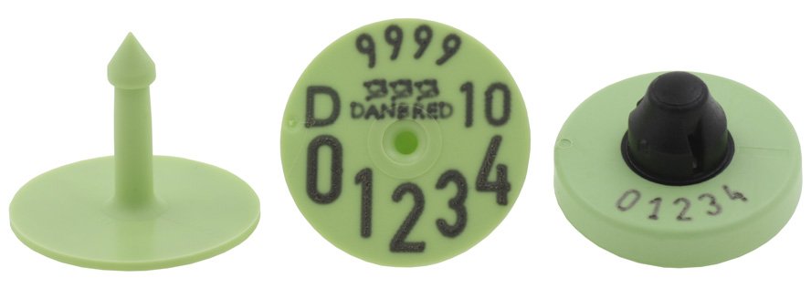 DagET m/FDX