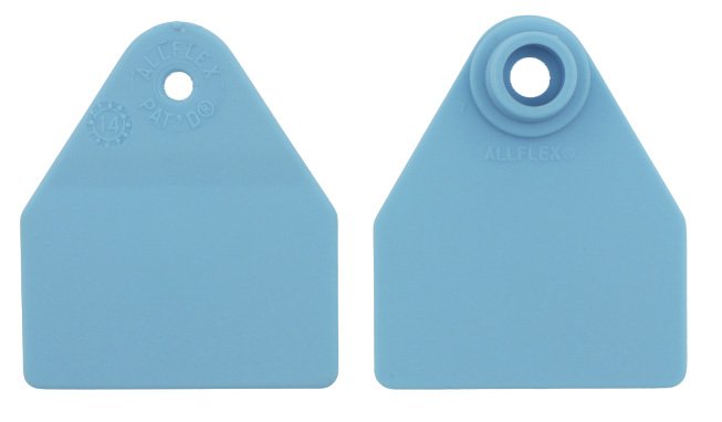 Pentag dobbelt blanke