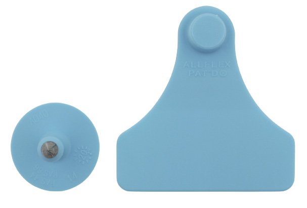 Junior female blanke + small male