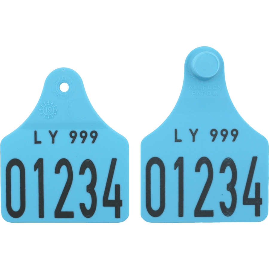 Senior dobbelt med nummer