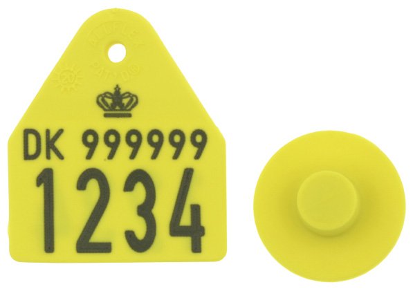 ALLFLEX Pentag, Ekstra