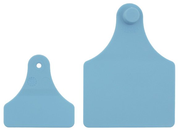 Maxi / Junior blanke