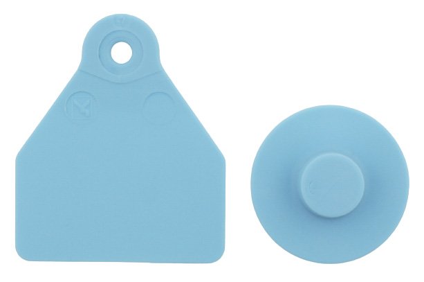 Ovina male blank + small female